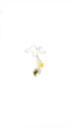 N463-2 LIMONE&VERDE
